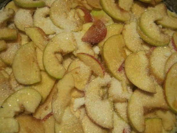 Шарлотка с яблоками рецепт пошагово и пышная шарлотка с яблоками в духовке — 10 самых вкусных и простых рецептов