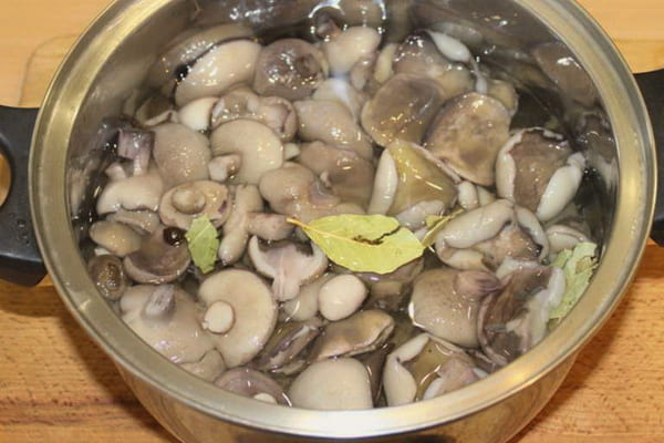 Маринованные белые грибы