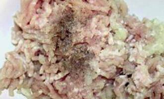 Мясо вместе с салом и луком прокрутите через мясорубку. Фарш посолите и приправьте по вкусу.