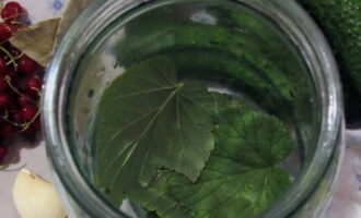 На дно литровой банки выкладываем подготовленные листья смородины.