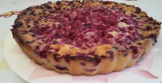 Пирог с красной смородиной - как приготовить из свежих или замороженных ягод по пошаговым рецептам с фото