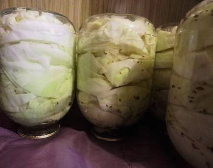 Маринованная капуста на зиму в банках – 10 вкусных рецептов хрустящей капусты