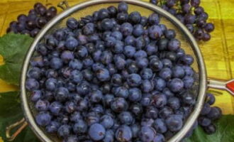 Подраздел 1.2: Польза варенья из винограда для здоровья