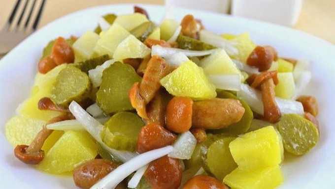Салат с маринованными опятами - 10 рецептов приготовления с пошаговыми фото