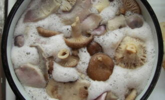 Грибы очистите, хорошо помойте и отварите в подсоленной воде, постоянно снимайте с поверхности воды пену. Затем шумовкой достаньте грибы из кастрюли и дайте им остыть.
