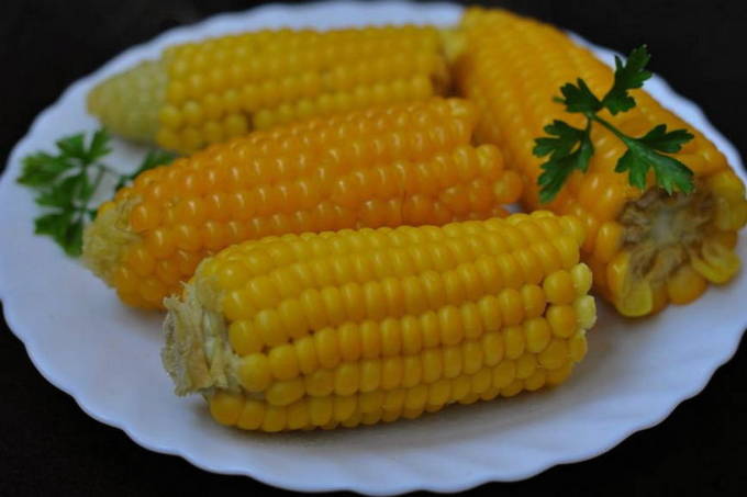 Как варить початок кукурузы в кастрюле — 6 рецептов, как правильно сварить кукурузу