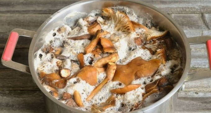 Грибная икра из вареных грибов с чесноком на зиму