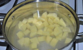 Картофель очистите и нарежьте кубиками. В кастрюлю влейте воду, добавьте соль по вкусу и выложите картофель. Поставьте кастрюлю на огонь.