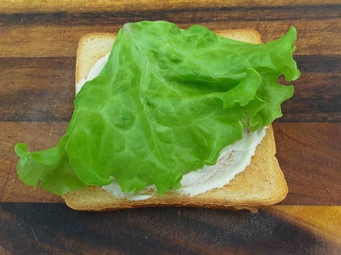 Сэндвич – 10 пошаговых рецептов в домашних условиях