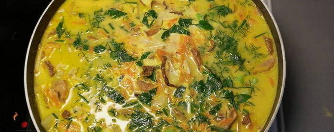 Грибной суп – 12 пошаговых рецептов приготовления