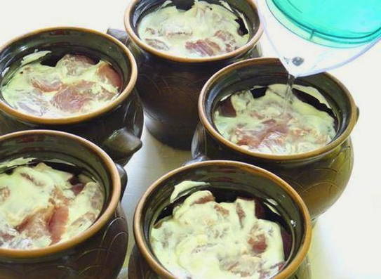 Картошка с мясом в горшочках в духовке — 10 пошаговых рецептов