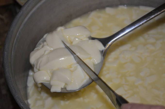 Сыр из козьего молока в домашних условиях — 7 пошаговых рецептов приготовления