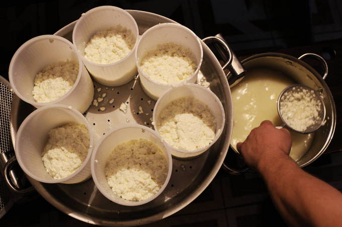Сыр из козьего молока в домашних условиях — 7 пошаговых рецептов приготовления