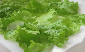 Листья салата помойте, высушите, порвите руками и выложите на блюдо.