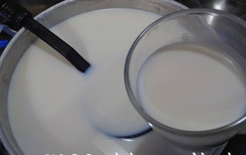 Сыр из молока в домашних условиях – 10 простых рецептов приготовления