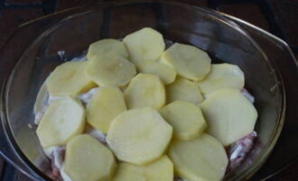 Очищенную картошку нарезаем тонкими пластинками, выкладываем на свинину и солим. Не забываем про слой из горчичной заправки.