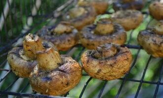 Маринованные шампиньоны выкладываем на решетку. Обжариваем грибы 10-12 минут, пока они не станут мягкими.