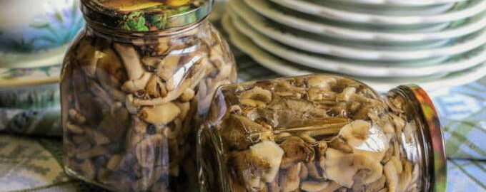 Маринад для грибов – 10 пошаговых рецептов приготовления