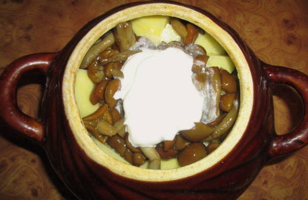 Картошка в горшочках с мясом и грибами в духовке — 6 пошаговых рецептов