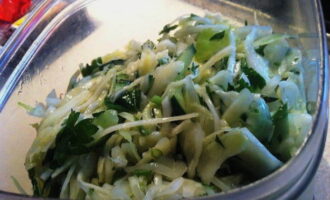 Приготовленный салат из свежей капусты с огурцом сразу подать к столу в общей салатнице или порционно. Приятного аппетита!