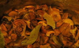В кастрюле для варки грибов закипятить стакан чистой воды, растворить в ней ложку соли и переложить в кипяток подготовленные рыжики. Они дадут много своего сока.