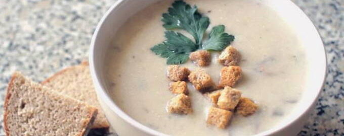 Грибной суп из свежих грибов — 10 самых вкусных рецептов