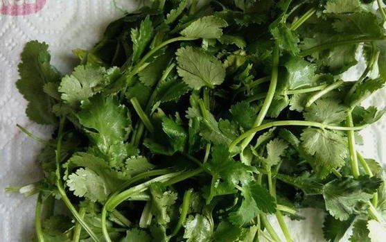 Салат с фасолью — 10 вкусных рецептов