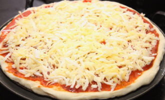 «Моцареллу» измельчите на крупной терке и равномерно разложите поверх соуса, чтобы на фоне сыра креветки хорошо были видны, что будет более аппетитным.