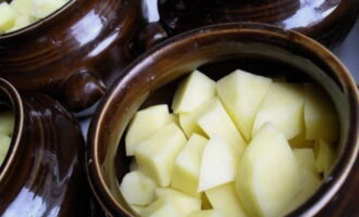 Очищенный картофель нарежьте средними кубиками и уложите поверх лука.