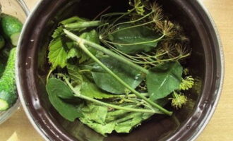Промыть зеленые листья с укропными зонтиками и часть их уложить на дно кастрюли. Насыпать к ним горошки перца и добавить лавровые листы.