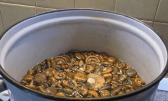 В кастрюле кипятим литр воды, добавив две столовые ложки крупной соли. В кипящий рассол аккуратно опускаем промытые грибы. После закипания кипятим при средней температуре 10 минут.