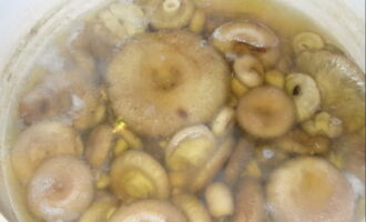 Варим грибочки три раза по 15 минут, каждый раз откидываем компонент на сито и ополаскивая водой. 