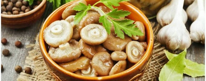 Рецепты из грибов