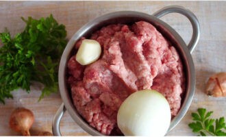 Фрикадельки для супа готовятся очень просто. Подготавливаем фарш, размораживаем, берем охлажденный или перекручиваем через мясорубку мясо. Мясной полуфабрикат может быть любым. Очищаем лук и чеснок, ополаскиваем петрушку.