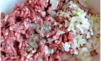 В отдельную посуду переложить мясной фарш. К нему высыпать соль со специями и добавить мелко нарезанную луковицу.