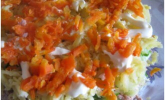Далее выложите слой из тертой на терке вареной морковки, промажьте его майонезом.