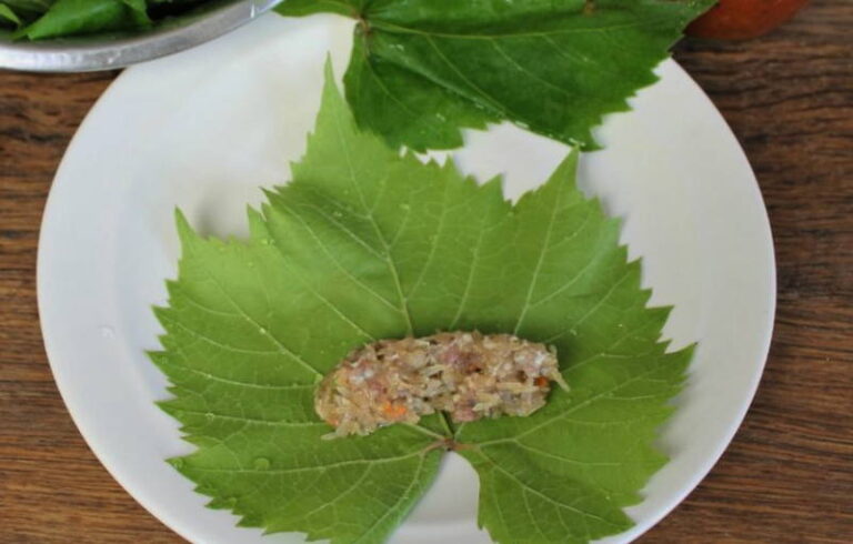 Долма классическая – 10 рецептов приготовления долмы в виноградных ...