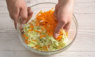 Мелко шинкуем белокочанную капусту и соединяем ее с морковью. Слегка солим овощи и хорошенько вымешиваем руками до выделения сока.